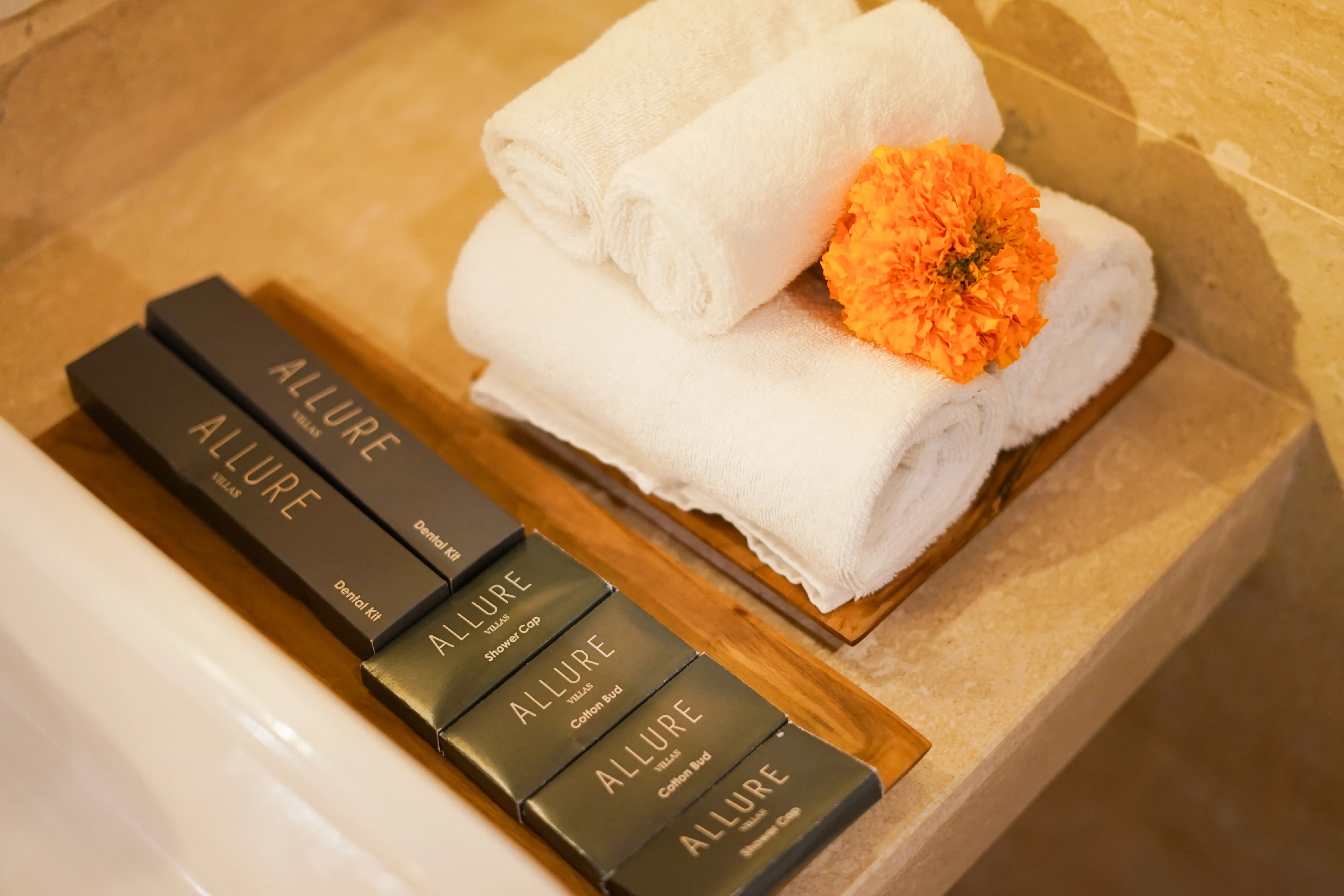 One Deluxe Room (Surya)